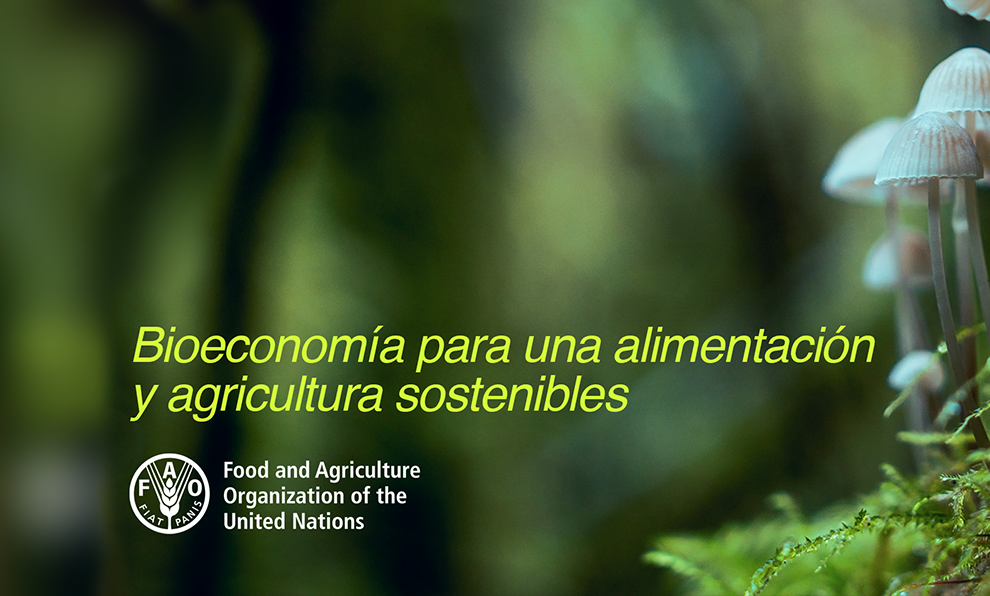Informe de Bioeconomia de la FAO