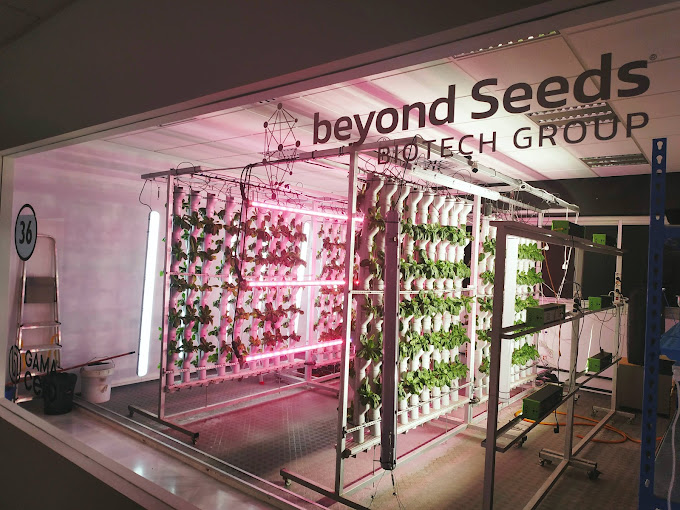 Beyond Seeds Biotech, referentes en Biotecnológica en Andalucía