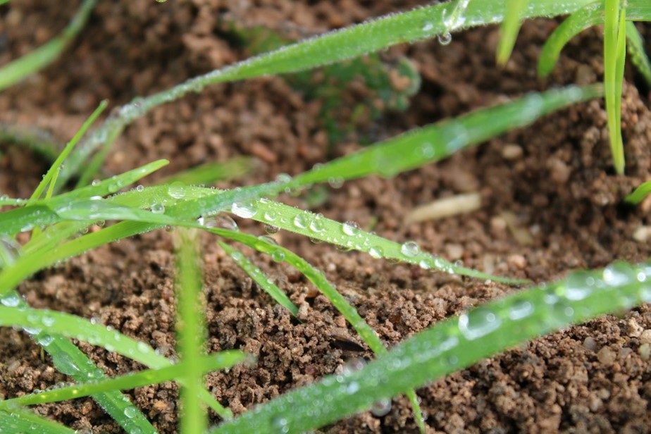 El polímero biodegradable que permite crear lluvia sólida